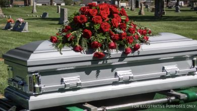 Photo of A dog barks at a coffin during a funeral, prompting a suspicious son to open it, only to discover it’s empty