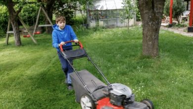 Photo of My neighbor had my 12-year-old son cut her lawn and then refused to pay — she had no idea how I planned to settle the score