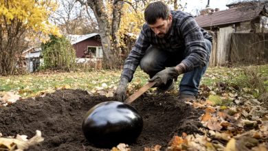 Photo of I came home early to surprise my husband and found him burying a large black egg in our garden — unraveling its mystery brought us closer together