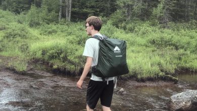 Photo of During a trip with his foster family, a teenage boy runs away after seeing an old sign, determined to find his real family