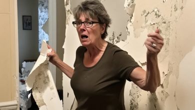 Photo of I caught my ex-mother-in-law stealing my shower cabin and tearing down the wallpaper her “son had installed