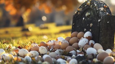 Photo of Someone Repeatedly Vandalized My Husband’s Gravestone with Eggs – The Day I Discovered the Culprit, It Shattered My World