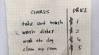 Photo of Daily Story: Entitled Son Expects Payment for Completing His Chores