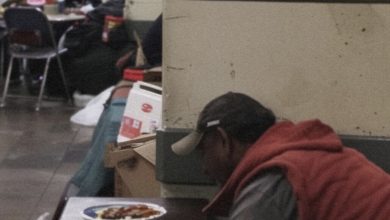 Photo of During Thanksgiving, a Woman Volunteers at a Shelter and Is Shocked to Find the Most Unexpected Person as the Star Volunteer