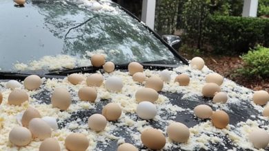 Photo of My Neighbor Pelted My Car with Eggs, Complaining That It Ruined the View of His Halloween Display