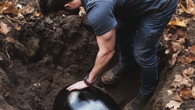 Photo of I Arrived Home Unexpectedly to Surprise My Husband and Discovered Him Hiding a Mysterious Black Egg in the Garden — Solving Its Secret Drew Us Closer Than Ever.