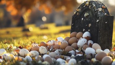 Photo of Eggs Kept Appearing on My Husband’s Gravestone — The Day I Discovered Who Was Responsible, It Almost Shattered My World