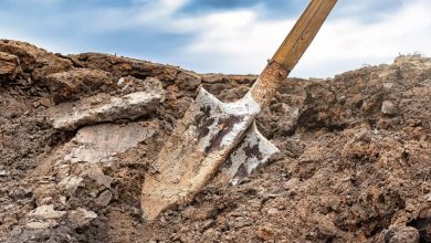 Photo of I Watched My Neighbor Collapse While Digging in Her Yard — When I Looked Into the Hole, What I Saw Took My Breath Away