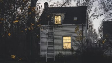 Photo of A Ladder Was Placed Outside My Bedroom Window — I Was Shocked to Discover Who Put It There and the Reason Behind It