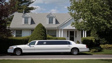 Photo of A Man Hands His Entire Paycheck to a Mother Seeking Money for a Ticket — The Next Day, a Grand White Limousine Stops in Front of His Home