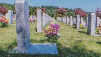 Photo of A Year After Losing Her Son, a Woman Discovers Her Daughter-In-Law’s Grave in the Cemetery