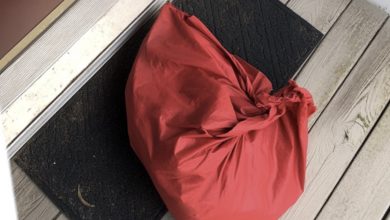 Photo of Each evening, I’d spot a lonely little girl standing at the bus stop with a red bag — but one morning, that same bag was left on my doorstep