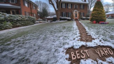 Photo of My neighbor destroyed my Christmas yard display by creating a muddy path, but karma soon delivered its justice