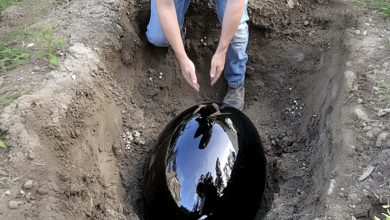 Photo of I came home early to surprise my husband, only to catch him burying a huge black egg in our garden — its mystery brought us closer