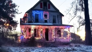 Photo of On Christmas Eve, I went to my parents’ deserted house, which had been missing for a while, and discovered it was beautifully decorated