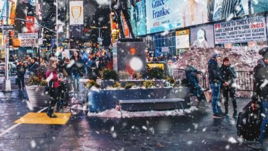 Photo of On Christmas Eve, a wealthy man encountered an 8-year-old boy in the town square – the boy asked, “Can you help me find my family?”