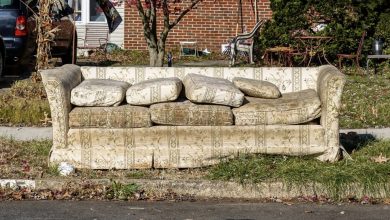 Photo of I hauled our old couch to the dump, but my husband panicked and shouted, “You got rid of the plan?!”