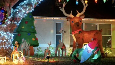 Photo of My neighbor refused to stop her kids from knocking down my holiday lawn decorations