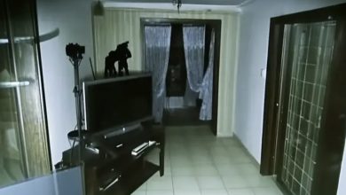 Photo of Objects in My Home Began Shifting — I Set Up a Security Camera and Was Stunned by What I Found in the Recording