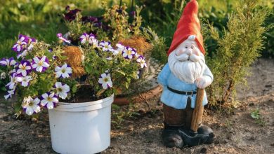 Photo of My sister-in-law gifted me a garden gnome for my birthday, but a few days later, a woman accused me of stealing it from her garden