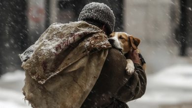 Photo of I purchased shawarma and coffee for a homeless man – in return, he handed me a note that transformed everything