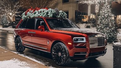 Photo of On a snowy Christmas Eve, I discovered an elderly woman by the roadside and brought her to my home – a few days later, a luxurious SUV with elaborate decorations appeared at my doorstep