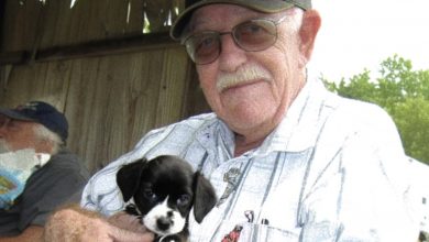 Photo of A neglected puppy transforms into the guardian angel that a heartbroken elderly man had been praying for