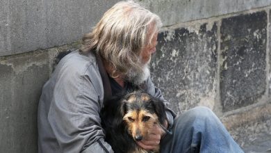 Photo of A homeless man asked me to take his dog, and a month later, I got an unexpected letter