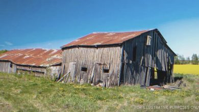 Photo of Men ridicule their sister for inheriting an old barn, but money starts pouring in as she steps inside