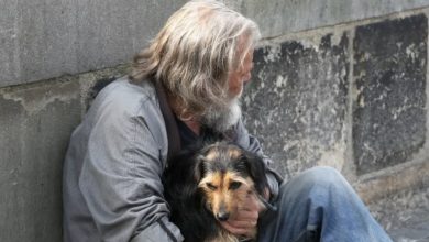 Photo of A homeless man asked me to look after his dog—and a month later, I received a mysterious letter