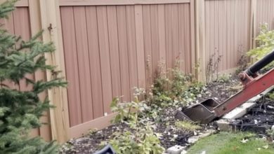 Photo of My arrogant neighbor compelled me to remove my old fence—and the way karma eventually caught up with her is simply astonishing