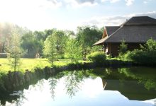 Photo of My entitled neighbor filled in my pond – and I made sure he learned not to mess with a seasoned woman