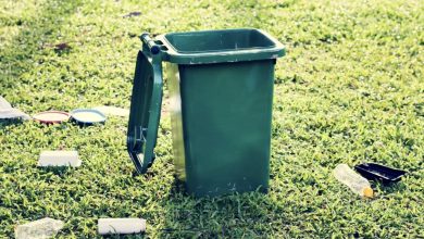 Photo of My Neighbor Knocked Over My Trash Can on Purpose Every Day — Until One Day, He Deeply Regretted His Actions