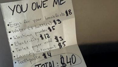 Photo of I Cared for My Grandson Out of Love — Then My Daughter-in-Law Gave Me an Invoice for ‘Living Expenses’ – My Daily Stars