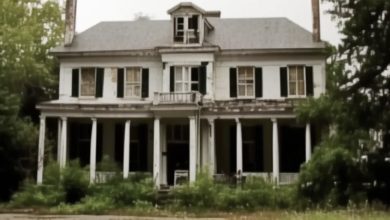Photo of A 78-Year-Old Woman Comes Back from the Nursing Home to Her Property — But Instead of Her House, She Finds a Mansion with New Locks