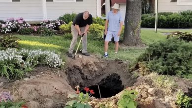 Photo of I Returned Home to Find My Husband and His Ex Digging in My Garden — What They Had Buried Years Ago Left Me Shocked