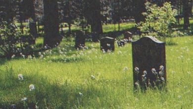 Photo of Man Stumbles upon a Headstone in the Woods and Sees His Childhood Photo on It