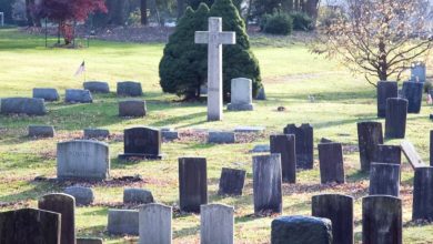 Photo of My Grandkids Had Already Picked Out a Grave and Headstone for Me – but They Didn’t Realize I’m Not Just Sweet, I’m Strong Too