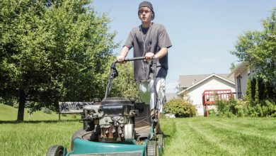 Photo of My Neighbor Had Her Kid Mow My Lawn Without Permission, Then Demanded $50 — So I Gave Her a Wake-Up Call