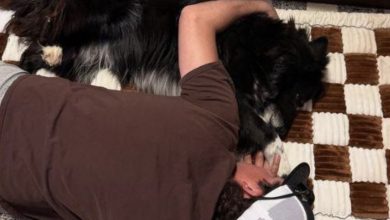 Photo of MY DOG SUDDENLY STARTED SLEEPING BESIDE ME EVERY NIGHT—AND THEN THE VET CALLED