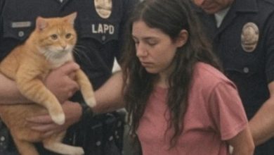 Photo of THEY ARRESTED ME FOR BREAKING INTO MY EX’S HOUSE—BUT I SWEAR, IT WASN’T WHAT IT LOOKED LIKE
