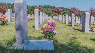 Photo of One year after her son’s passing, a woman came across her daughter-in-law’s grave in the cemetery