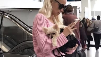 Photo of The Dog Wasn’t the Problem — The Owner Was. So I Took Matters into My Own Hands at the Gate