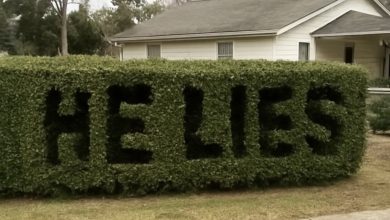 Photo of After returning from a business trip, I found “He Lies” etched into my hedge—and then a note turned everything upside down