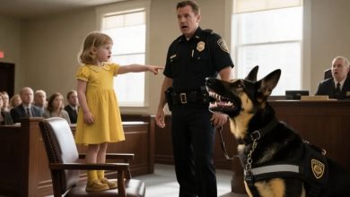 Photo of 3-Year-Old Girl Points At Police Dog In Courtroom – and Says only 2 Words! What Happens Next Is Unthinkable…