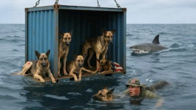 Photo of He assumed the floating object was just a corroded container—until he heard scratching from inside, and the sight that greeted him will chill you to the bone!