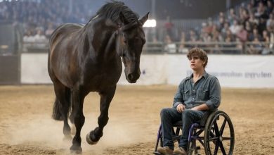 Photo of A paralyzed teen rolls into the arena—then the wild stallion’s response brings everyone to tears.