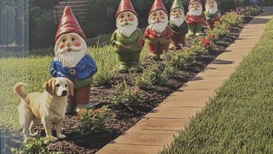 Photo of My Grumpy Neighbor and I Went to War Over a Lawn Gnome—You Won’t Believe How It Ended
