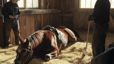 Photo of WHEN ALL HOPE SEEMED LOST, A GALLANT STALLION SAVES THE DAY