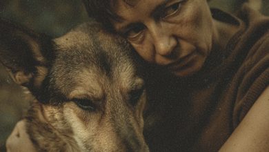Photo of I Saved a Stray Pup — Thirty Days Later She Guided Me to Something Incredible
